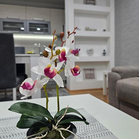 Apartman Vukota Pirot Eksteriør billede