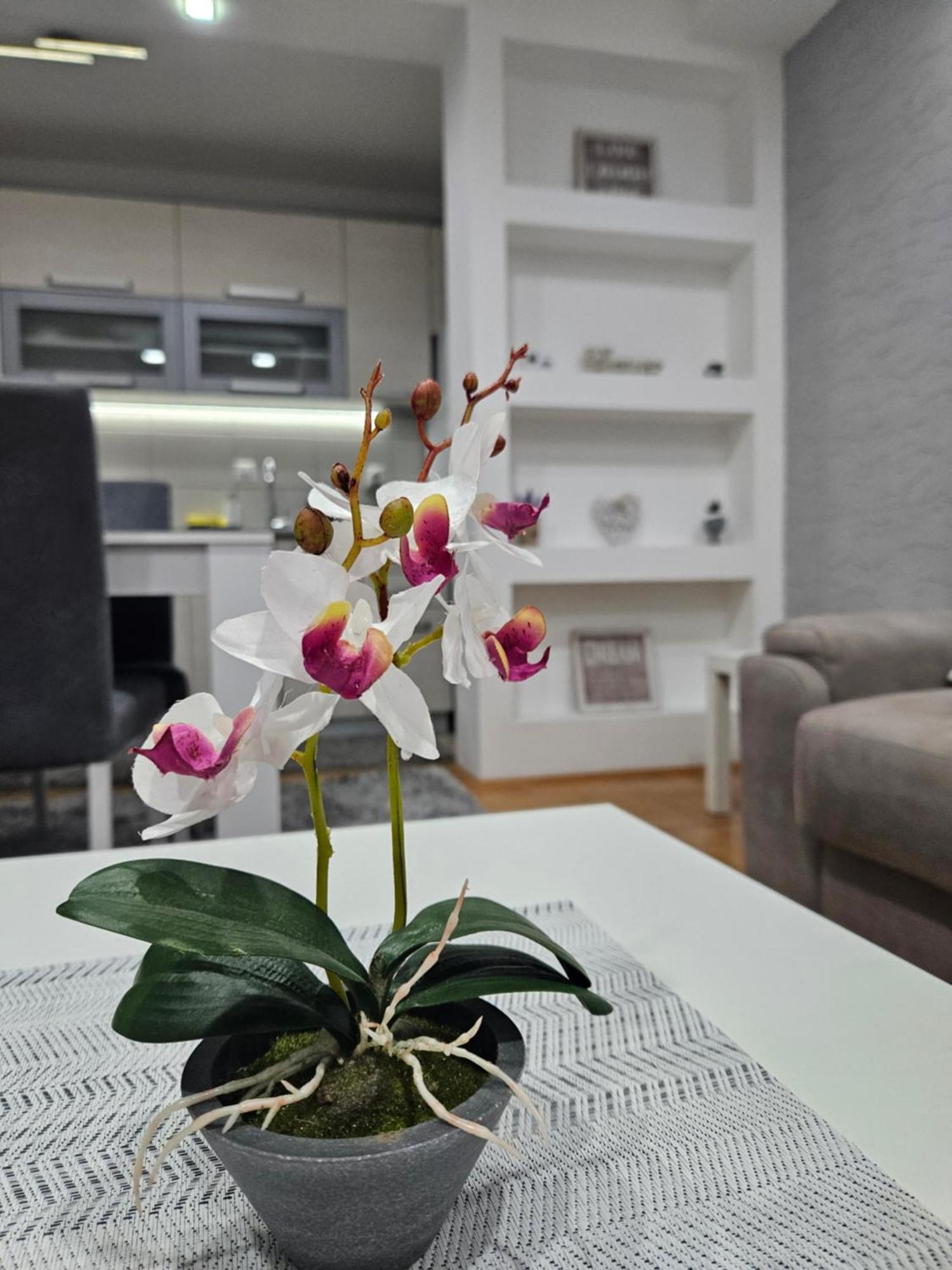 Apartman Vukota Pirot Eksteriør billede